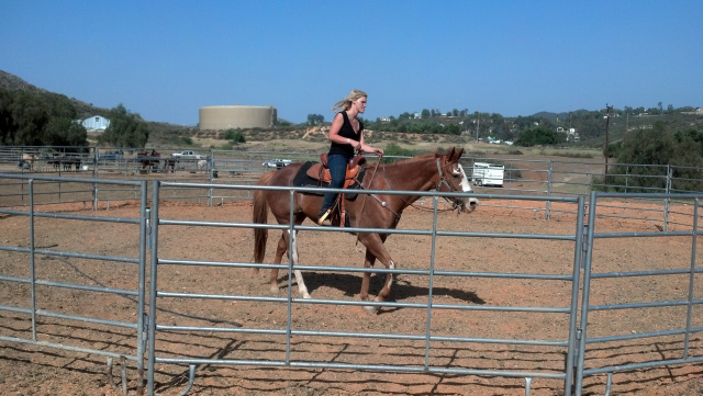 Kerri Clark Giving Horse Riding Lessons