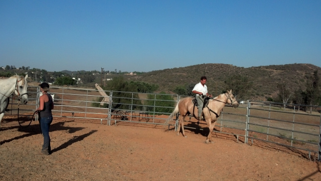Horseback Riding Lessons at Oak Meadows Ranch