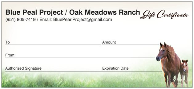 Oak Meadows Ranch Gift Certificate Oak Meadows Ranch Wildomar California Horseback Lesson Gift Certificate Template