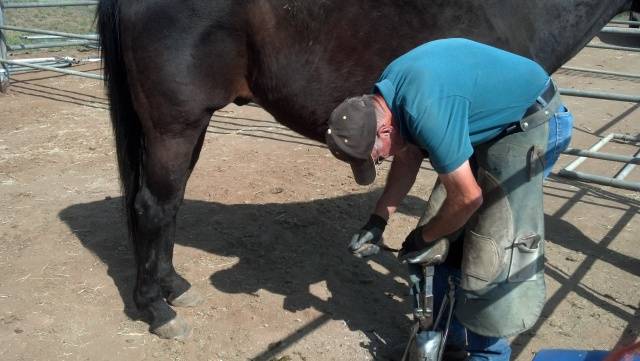 The Ferrier Visiting the Ranch