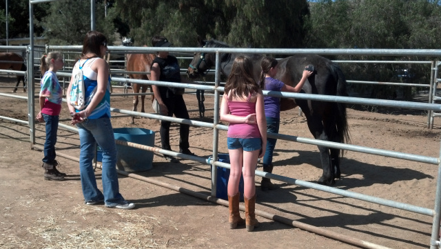 Girl Scouts of Corona Visiting