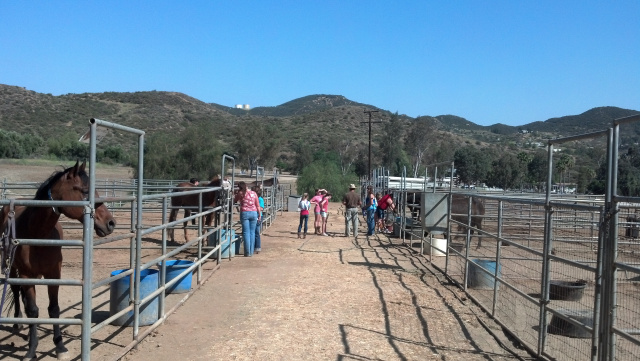 Girl Scouts of Corona Visiting