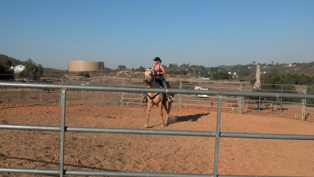 Horseback Riding Lessons at Oak Meadows Ranch