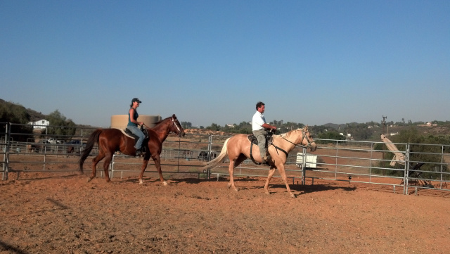 Horseback Riding Lessons at Oak Meadows Ranch