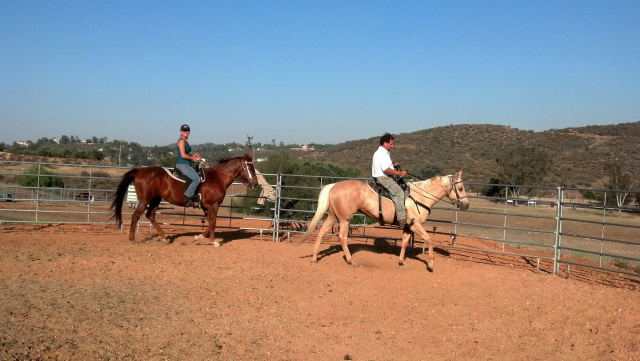 Horseback Riding Lessons at Oak Meadows Ranch