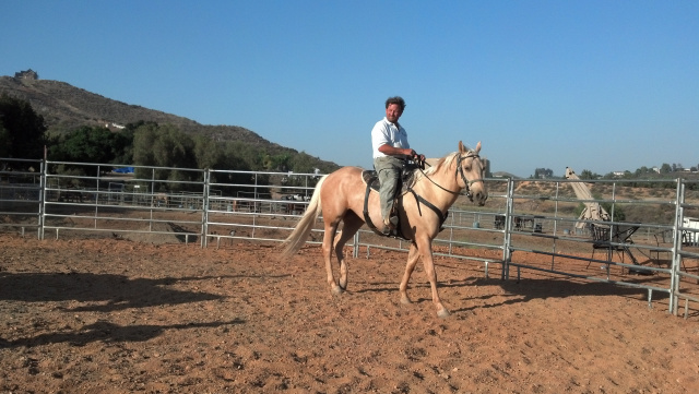 Horseback Riding Lessons at Oak Meadows Ranch