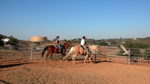 Horseback Riding Lessons at Oak Meadows Ranch