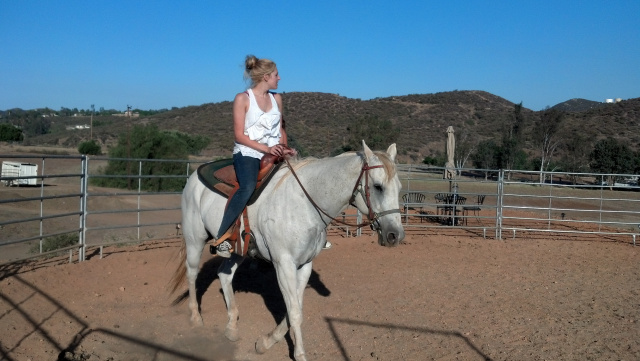 Barney (Rescued Horse)