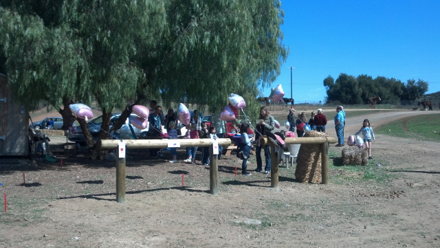 Cowgirl Birthday Party at Oak Meadows Ranch