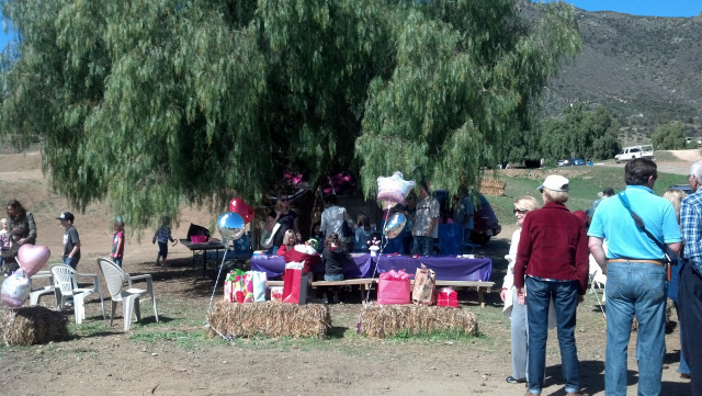 Cowgirl Birthday Party at Oak Meadows Ranch