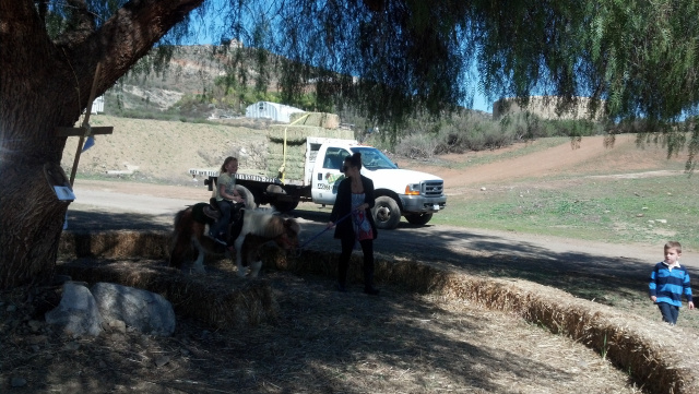 Cowgirl Birthday Party at Oak Meadows Ranch