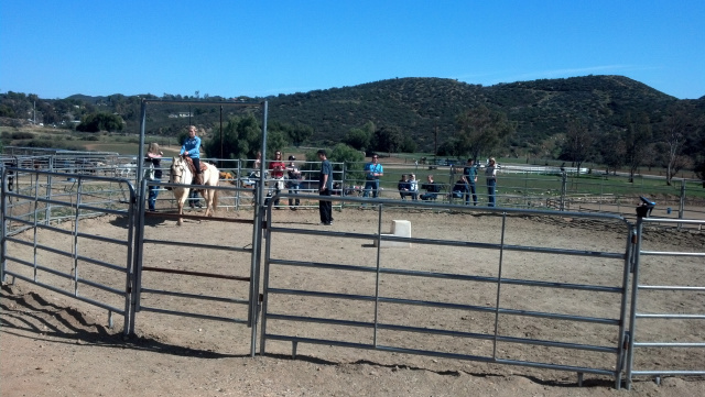 Cowgirl Birthday Party at Oak Meadows Ranch