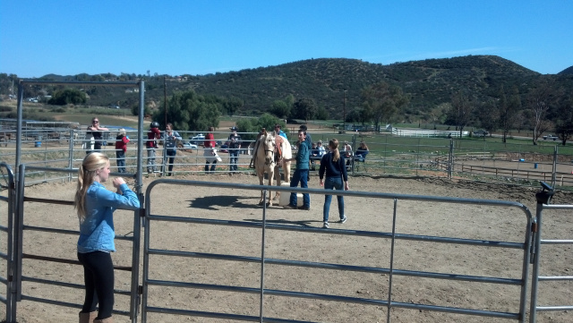 Cowgirl Birthday Party at Oak Meadows Ranch