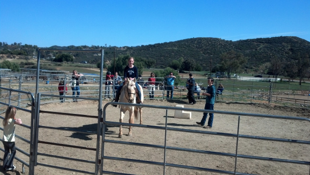 Cowgirl Birthday Party at Oak Meadows Ranch