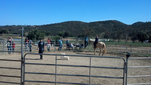 Cowgirl Birthday Party at Oak Meadows Ranch