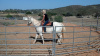 Kerri Clark Giving Horse Riding Lessons