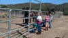 Girl Scouts of Corona Visiting