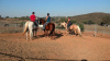 Horseback Riding Lessons at Oak Meadows Ranch