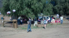 Cowgirl Birthday Party at Oak Meadows Ranch