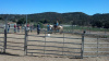 Cowgirl Birthday Party at Oak Meadows Ranch