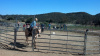 Cowgirl Birthday Party at Oak Meadows Ranch