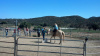 Cowgirl Birthday Party at Oak Meadows Ranch