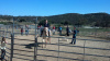 Cowgirl Birthday Party at Oak Meadows Ranch