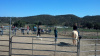 Cowgirl Birthday Party at Oak Meadows Ranch